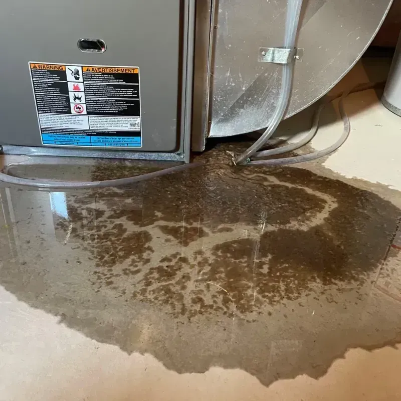 Appliance Leak Cleanup in Northlake, SC